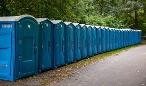 Portable WC cabins in the park. A line of chemical toilets for a festival, against a forest background